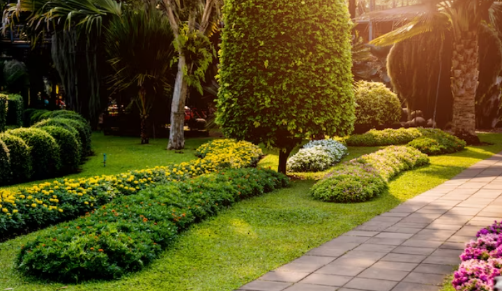 Landscaping